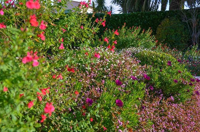 Garden-Maintenance-Cover