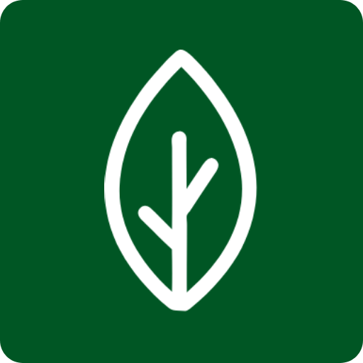 Paysagiste Andreas Kugele